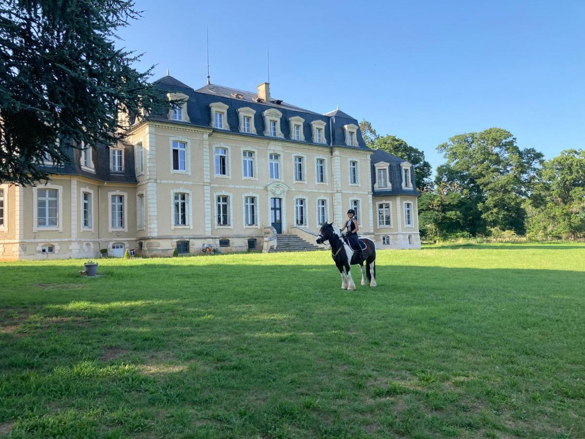 Chateau De La Bouchatte Chambre Les Roses Chazemais Экстерьер фото